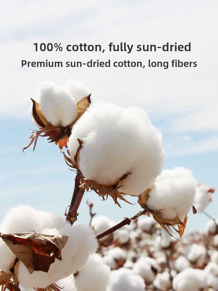 Sustainable Linen Production